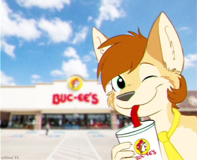 Featured image of post welcome to my website